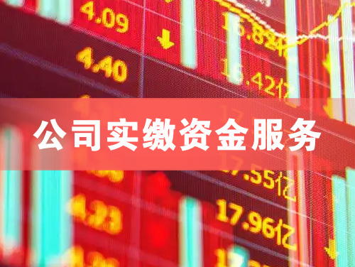 江都公司实缴资金服务